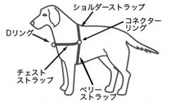 イージーウォークハーネスの正しいつけ方